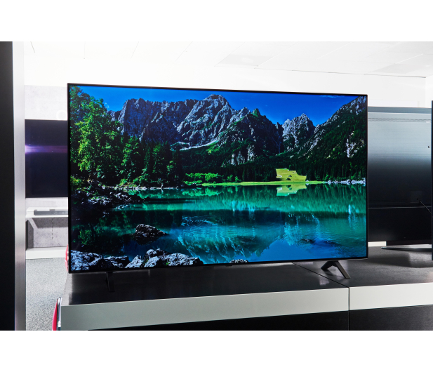 LG OLED55A13LA - 635945 - zdjęcie 6